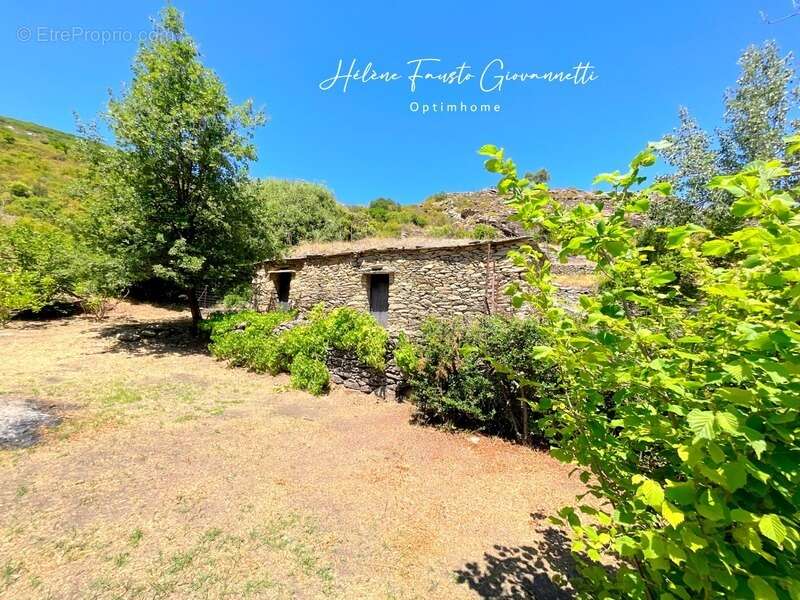 Ancien Moulin en Pierre avec dépendances sur près de 2,3 hectares – Santo-Pietro-di-Tenda - photo 34