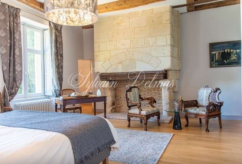 Propriete à vendre 18 pièces proche de TOURS (37) - photo 13