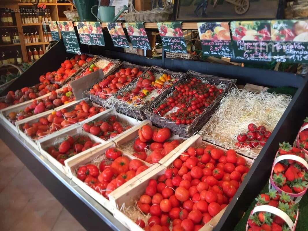 Commerce à VAUNAVEYS-LA-ROCHETTE