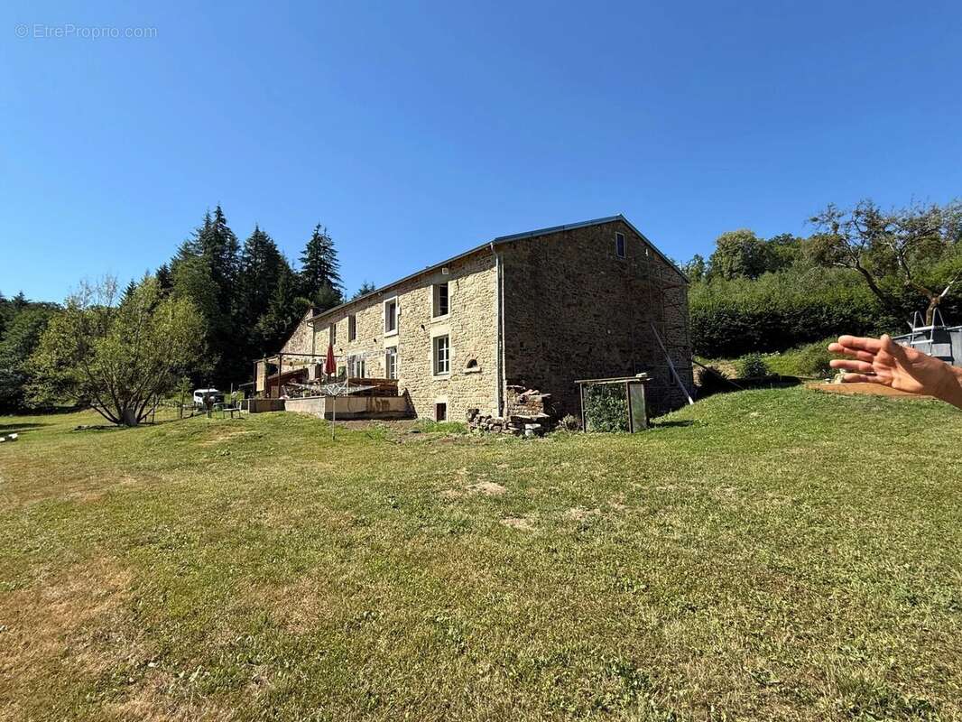 Moulin à laine ancien, entièrement rénové, en site préservé, plus de 8 hectares – Idéal MINI-CAMPING / B&B - photo 36