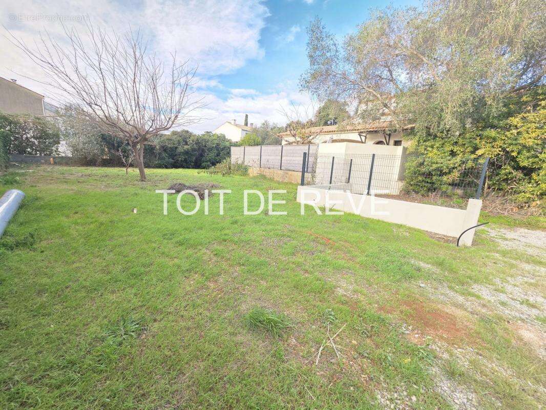 Frontignan Centre : terrain constructible de 363m2 - photo 2