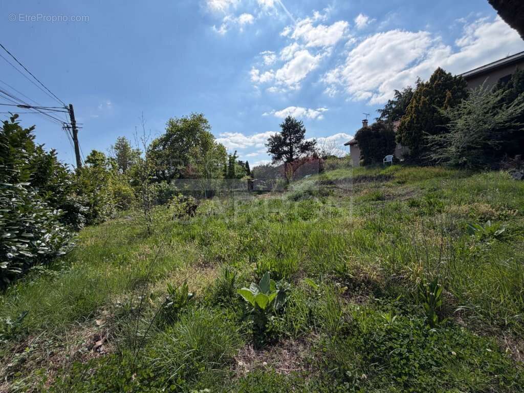 Terrain à GREZIEU-LA-VARENNE