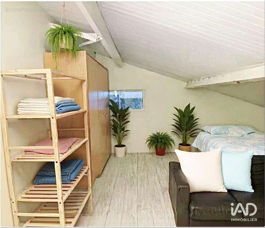 Photo 8 - Commerce à SAINT-MARTIN