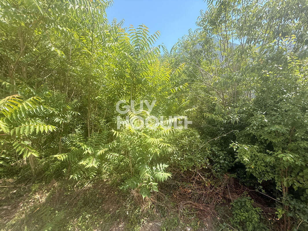 Terrain non constructible - 1 290 m² - Environnement naturel et privilégié - photo 6