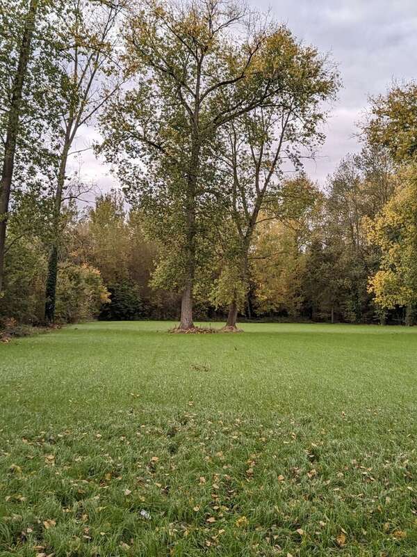 Terrain à bâtir de 520 m² à GOMETZ-LA-VILLE (91) - photo 2