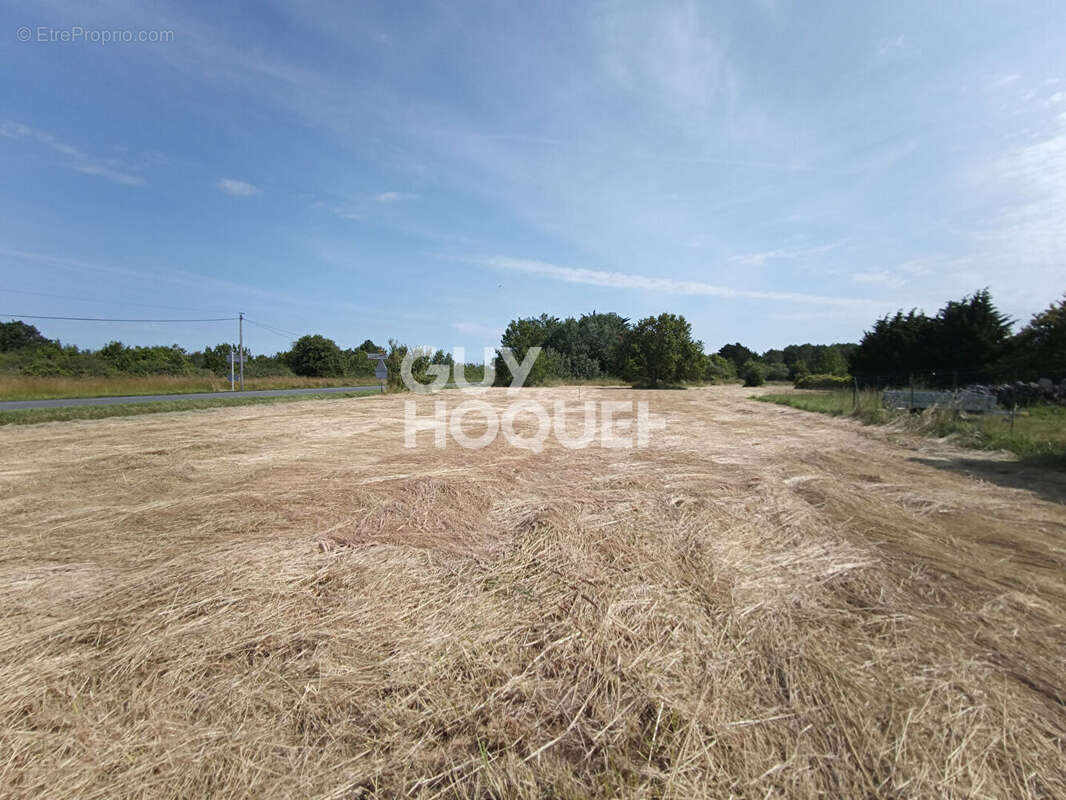 Terrain à DOLUS-D'OLERON