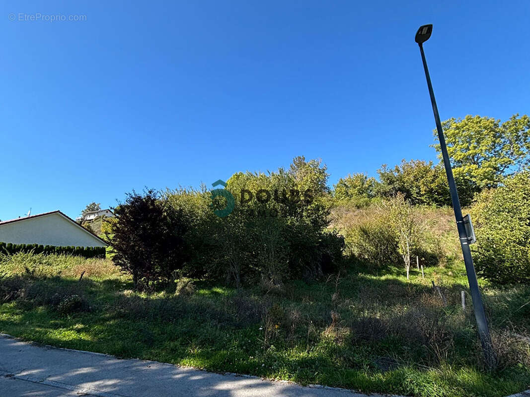 Terrain à GUYANS-VENNES