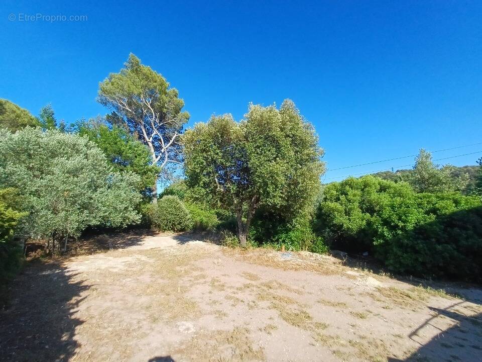 Terrain 428 m² à Pierrefeu-Du-Var  - photo 1