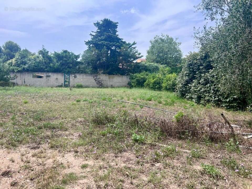 Terrain à CHATEAUNEUF-LES-MARTIGUES