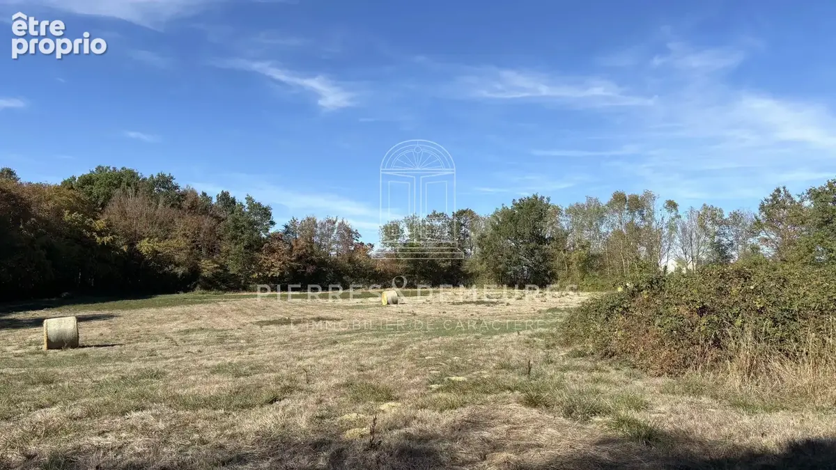Fermette sur 1 hectare et plus possiblement - photo 24
