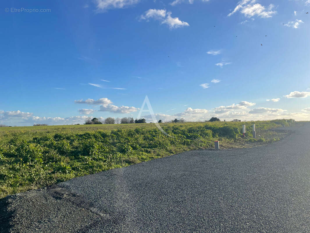 Terrain à CHAILLE-LES-MARAIS