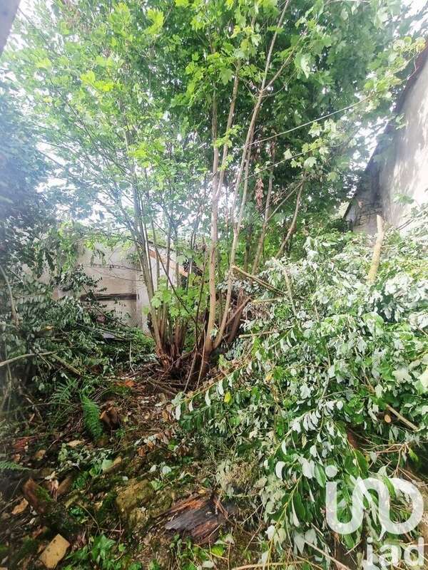 Photo 4 - Appartement à ESTAIRES