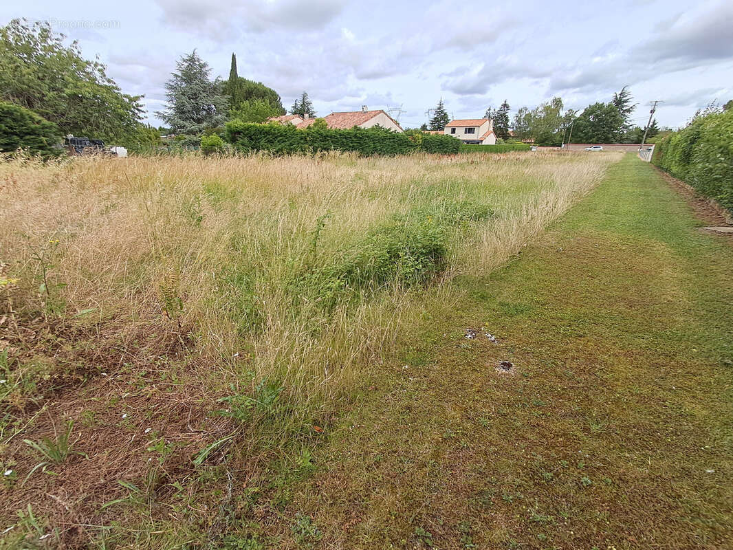 Terrain constructible de 1838m2 MONTAMISE-La Germonière - photo 3