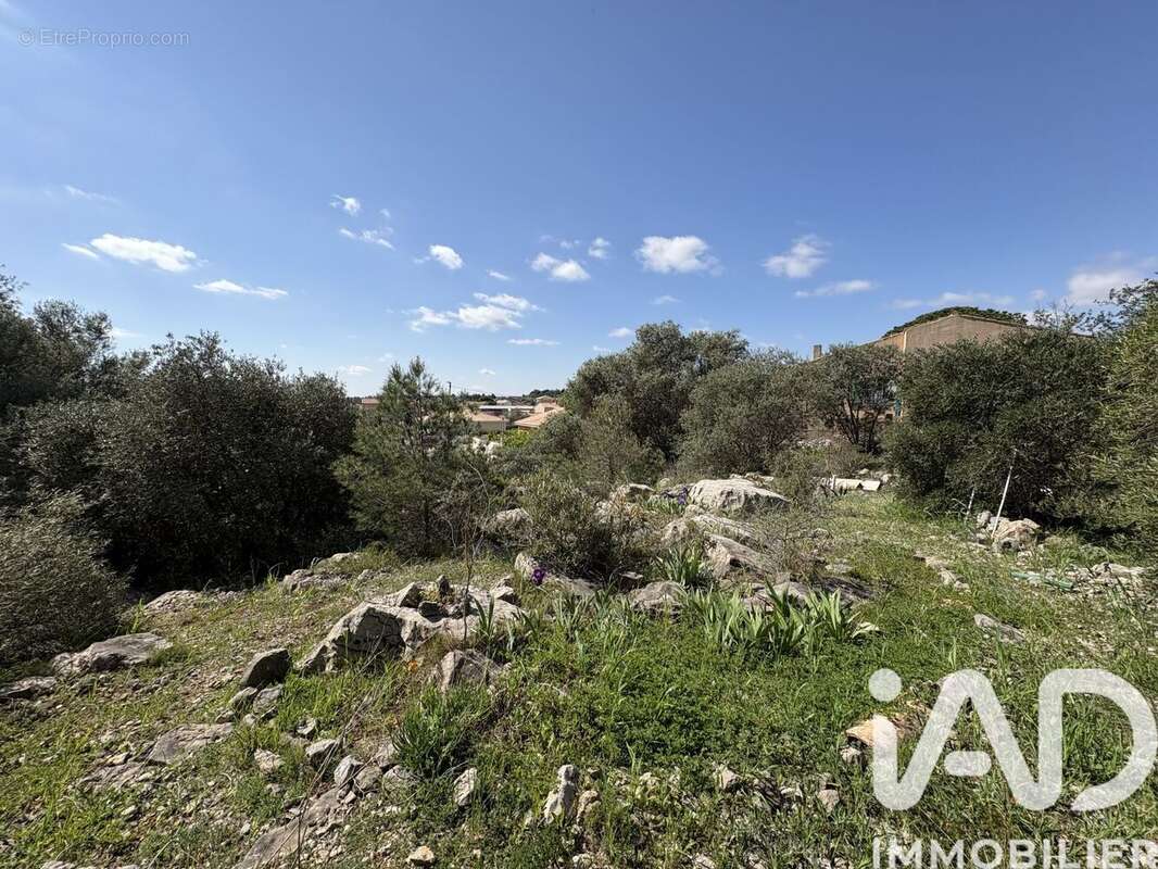 Photo 2 - Terrain à LA PALME