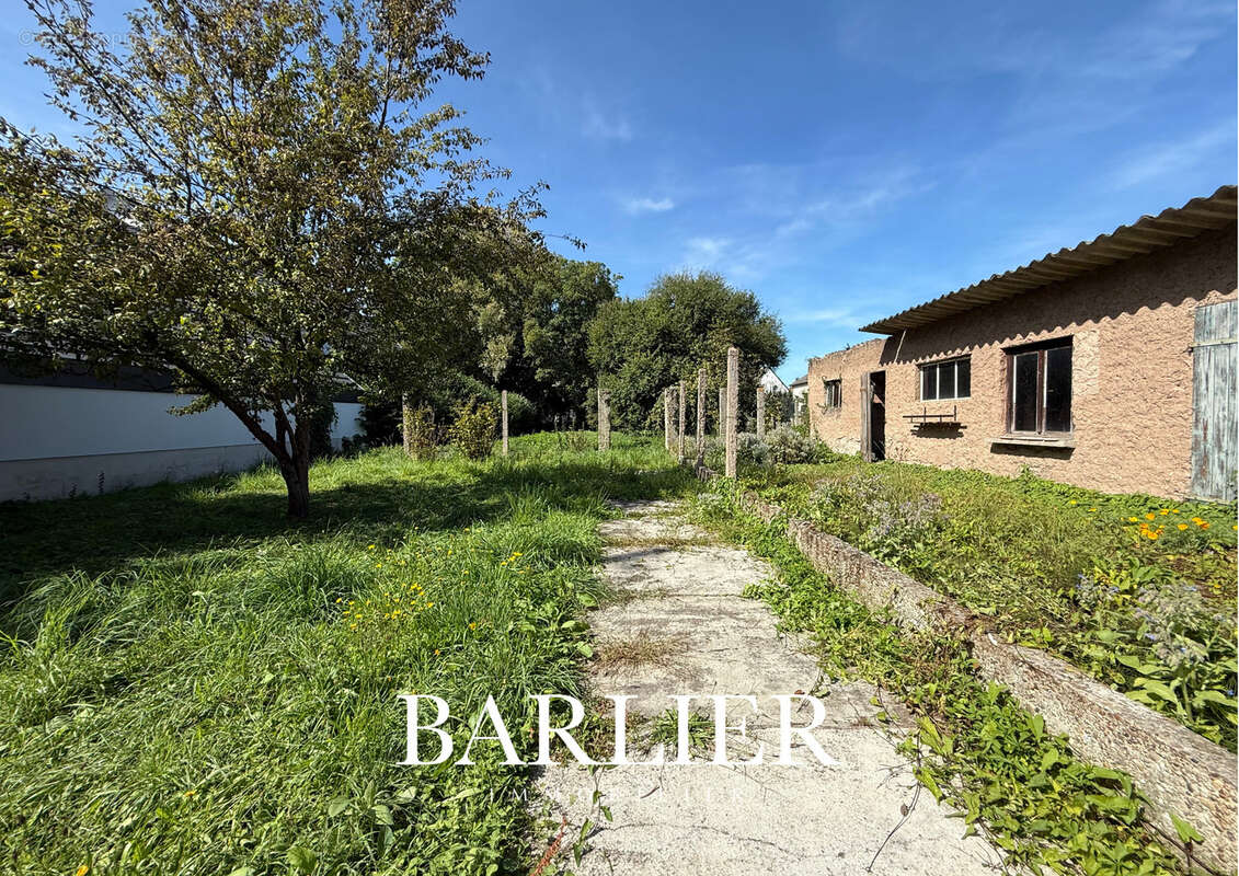 Terrain à GEISPOLSHEIM