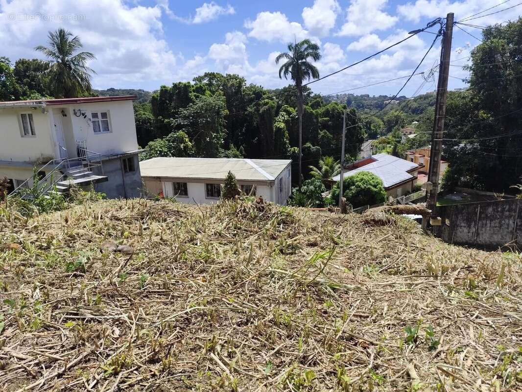 Terrain à FORT-DE-FRANCE