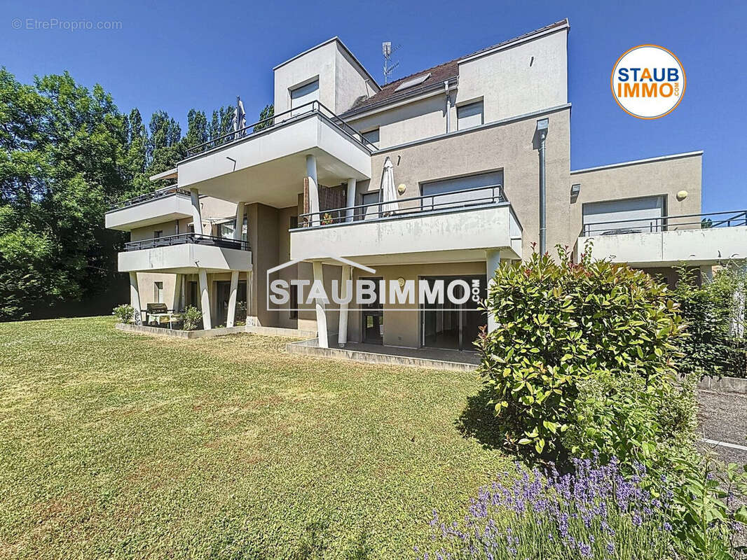 Appartement à HEGENHEIM