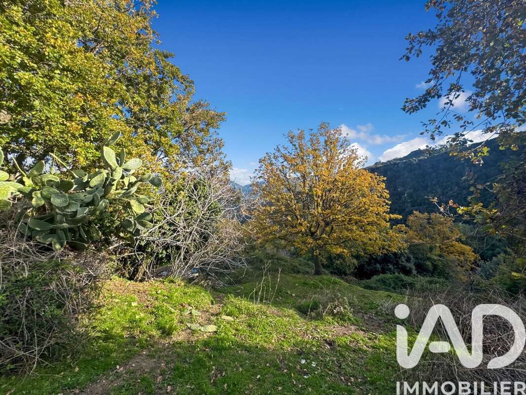 Photo 8 - Terrain à SANTO-PIETRO-DI-TENDA