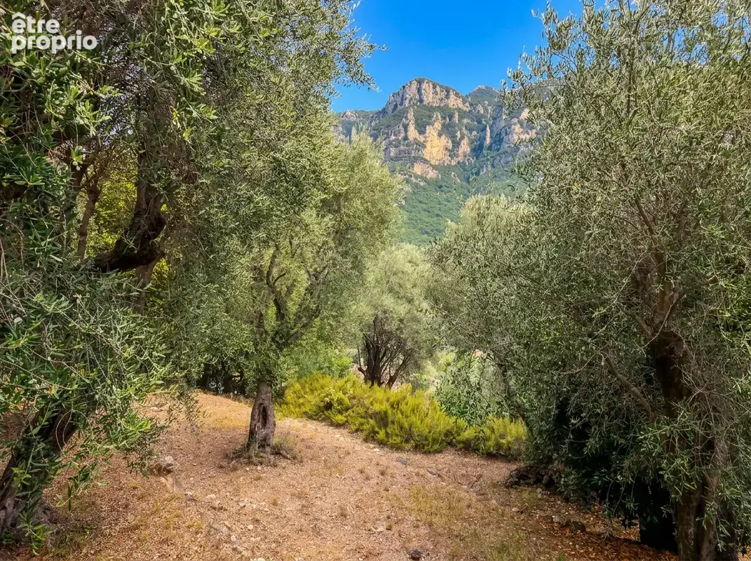 GOURDON   Propriété de charme en pierre du XIXe   Piscine   1,62 ha de terrain en restanques - photo 9