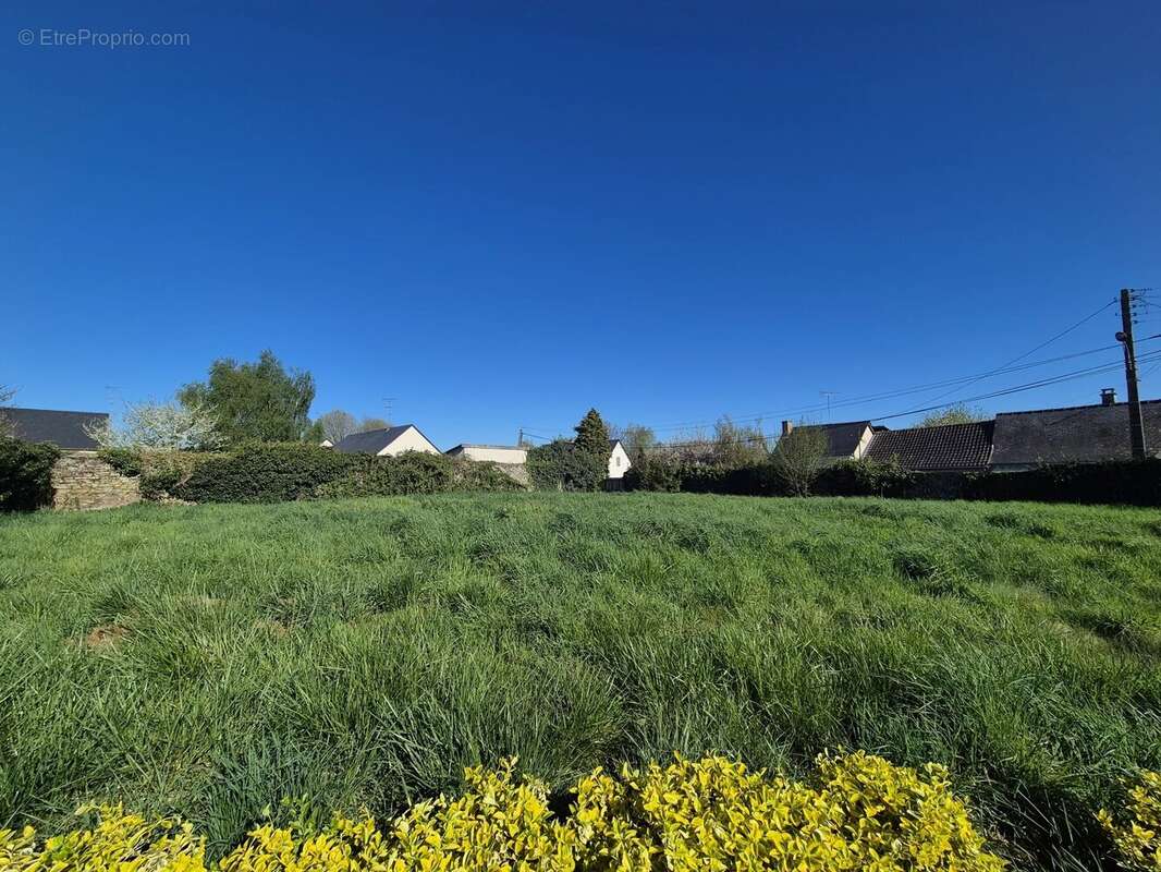 Terrain à LIVRE