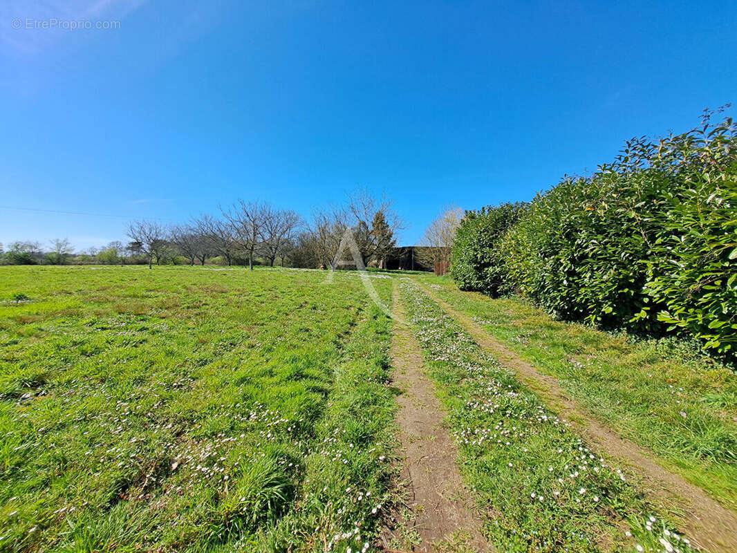 Maison à VILLENEUVE-DE-MARSAN
