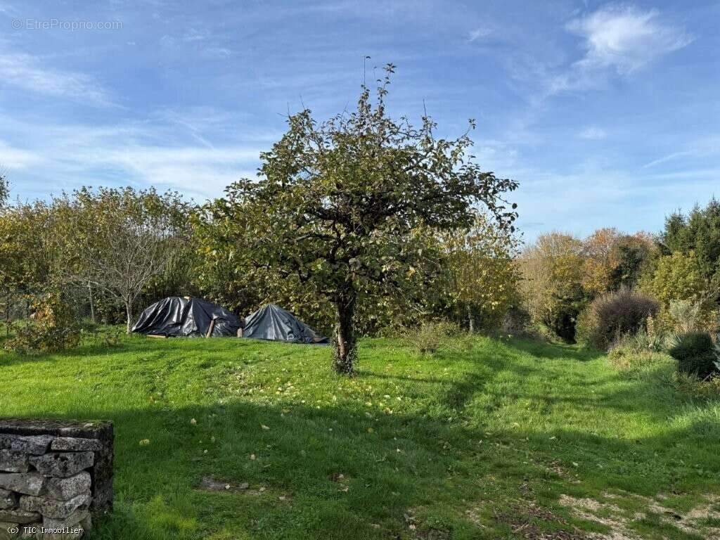 Maison à NANTEUIL-EN-VALLEE