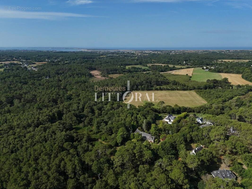Villa entourée de pins maritimes - photo 3