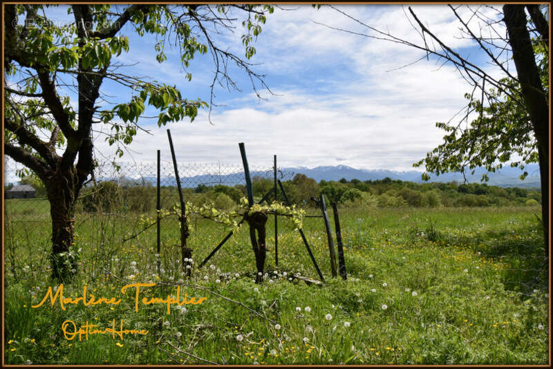 Ferme à rénover sur 3,4 ha de pâtures - vue Pyrénées - LUCQ DE BEARN (64) - photo 5