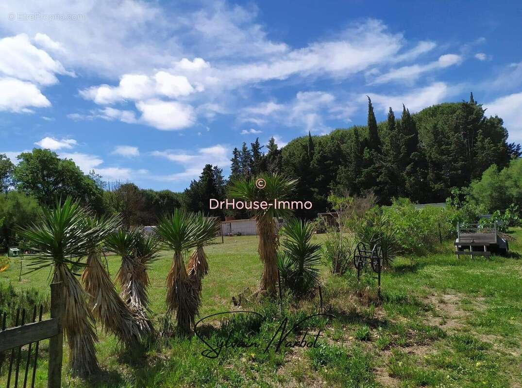 Maison 45 m² à Aigues-Mortes  - photo 206