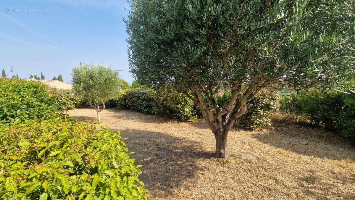 Maison avec garage et piscine - photo 9