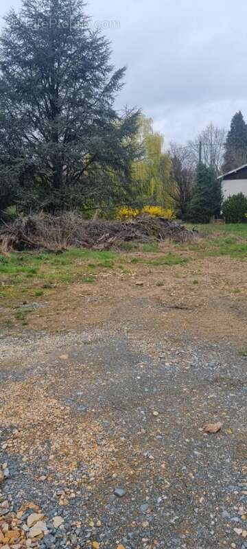 Terrain à MONTMERLE-SUR-SAONE