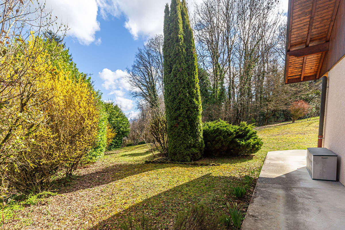 Agence immobiliere laforet - co-exclusivite - "protea" - cuvat - maison individuelle 6 pièces de 172,07 m² au sol - terrain de 1 - photo 6