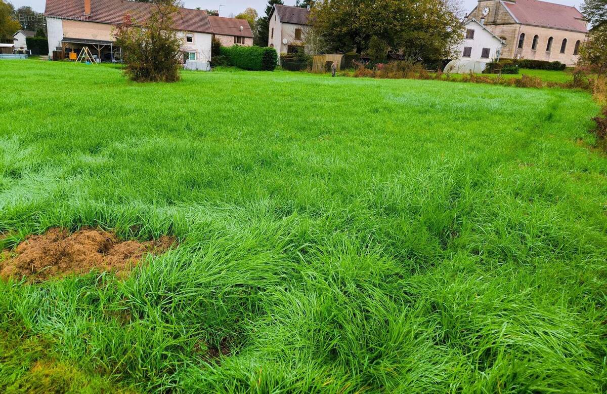 Photo 1 - Terrain à FRANCHEVELLE