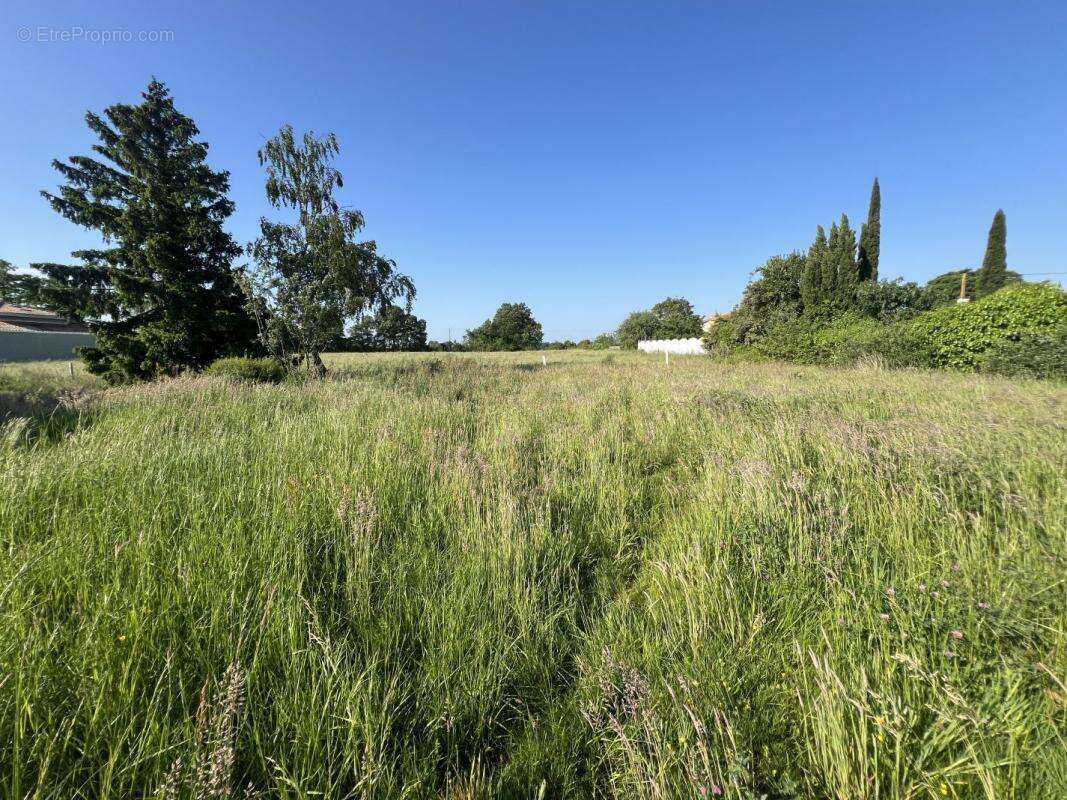 Terrain à CHATEAU-THEBAUD