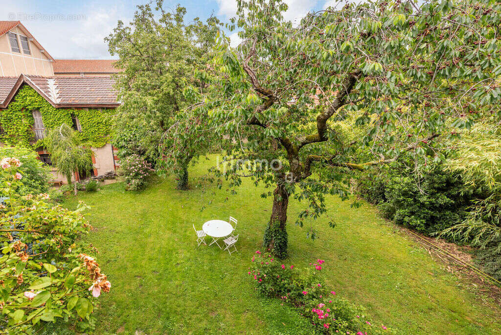 435 m² pour Coworquie  étudiante ou intergénérationnelle - photo 20