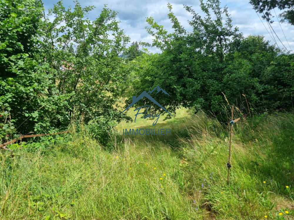 Terrain constructible de 2835m2 - Fimenil - photo 3