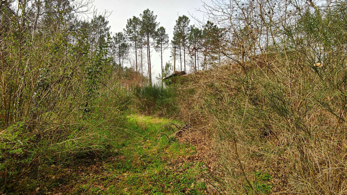 Terrain à GOURBERA