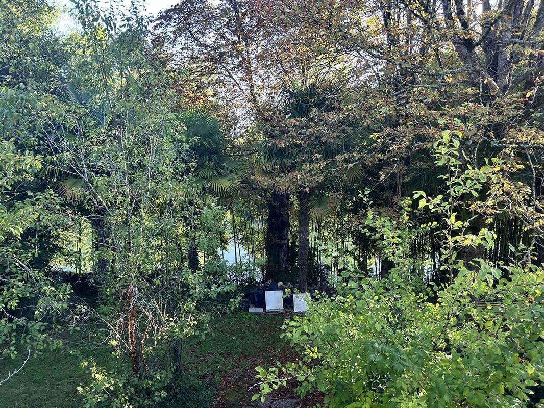 IMG2314 - Maison à NIORT