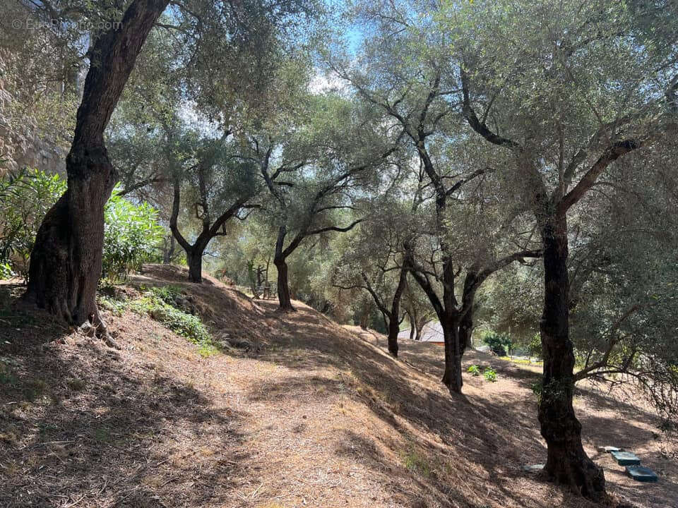 Maison à SARROLA-CARCOPINO