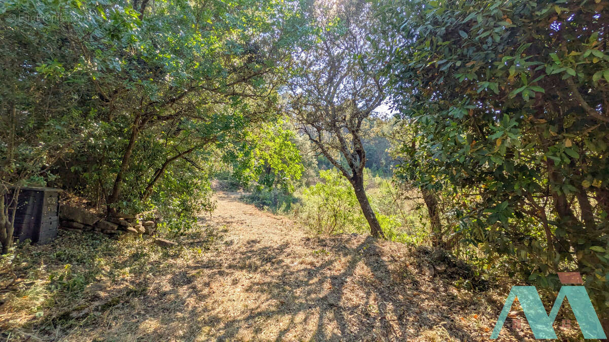 Mas provençal 3 pièces 80m2 avec 1ha en campagne - photo 15
