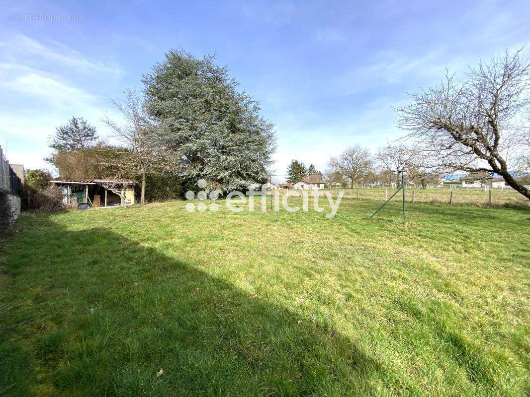 Maison à LA TOUR-DU-PIN