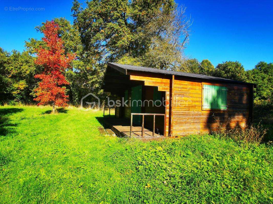 Terrain à SAINT-SAUVEUR-EN-PUISAYE