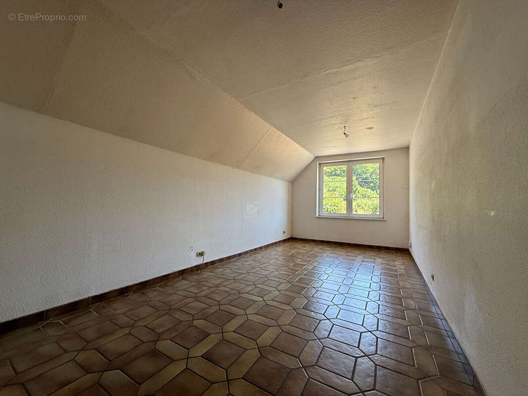 Maison Freland - photo 15