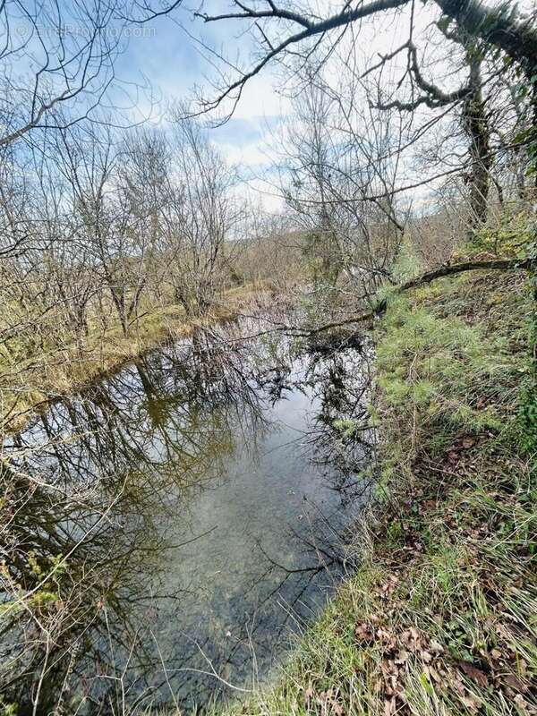 Photo 8 - Maison à BEAUMONT-DU-PERIGORD