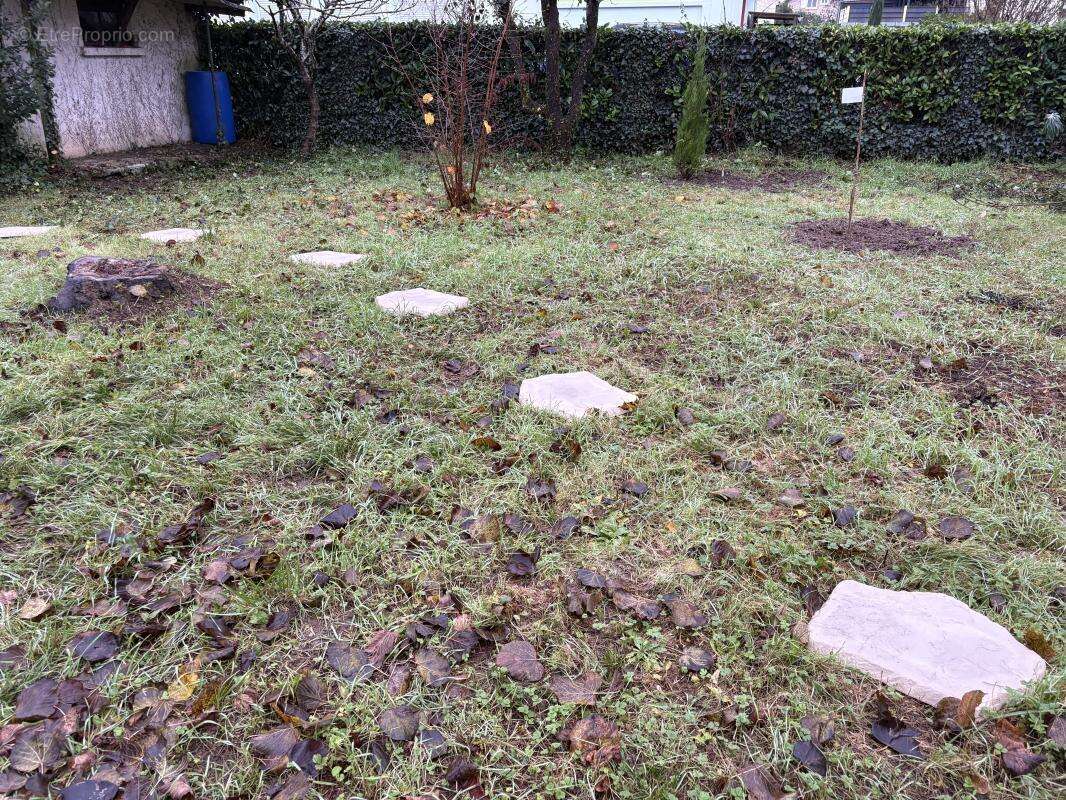 Maison à BRIVE-LA-GAILLARDE