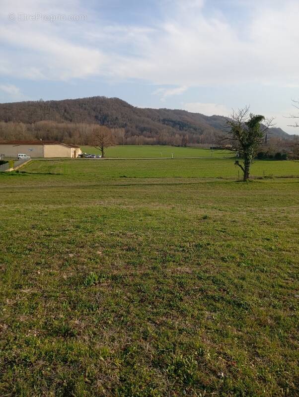 Terrain à MUREILS
