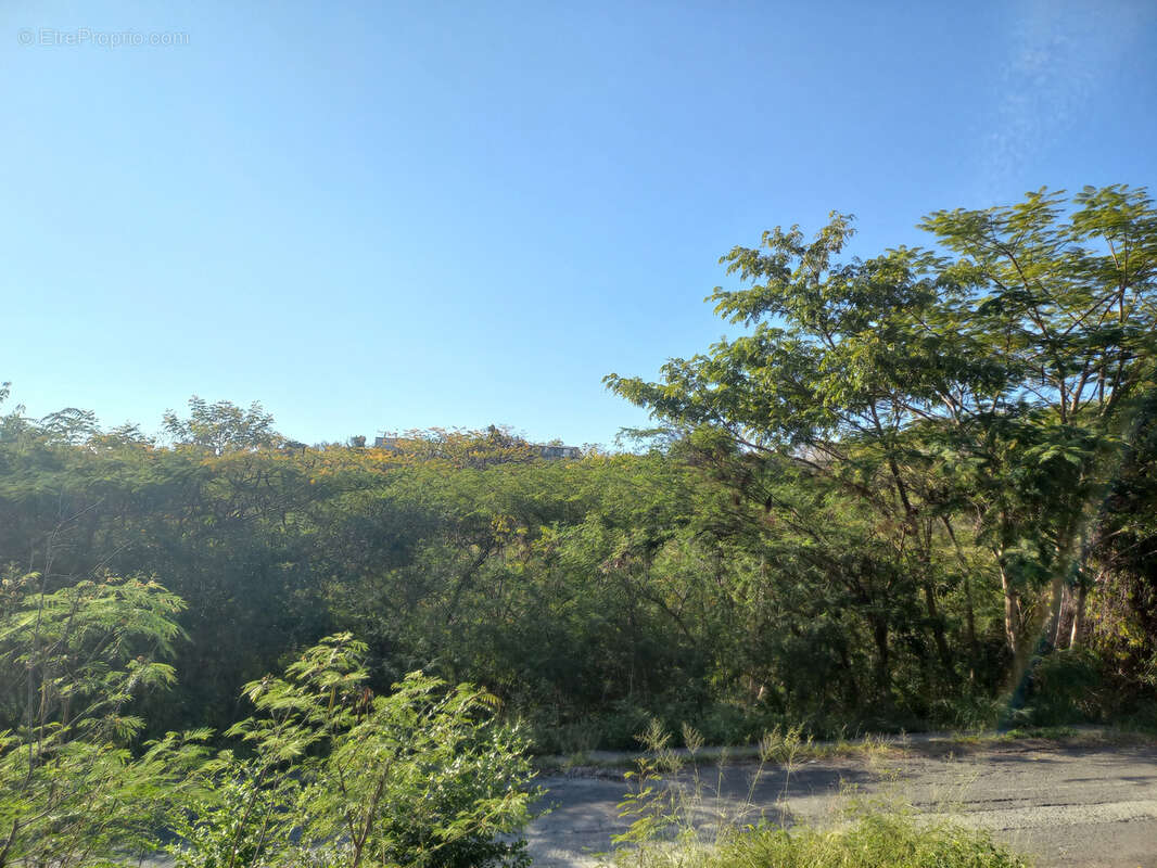 Terrain à BOUILLANTE