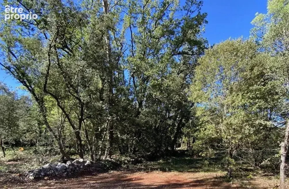 Terrain à NANS-LES-PINS