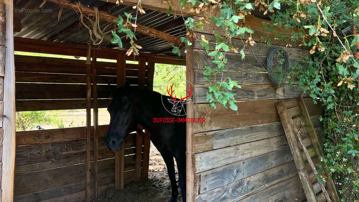Propriété de 7ha au coeur du Quercy - photo 15