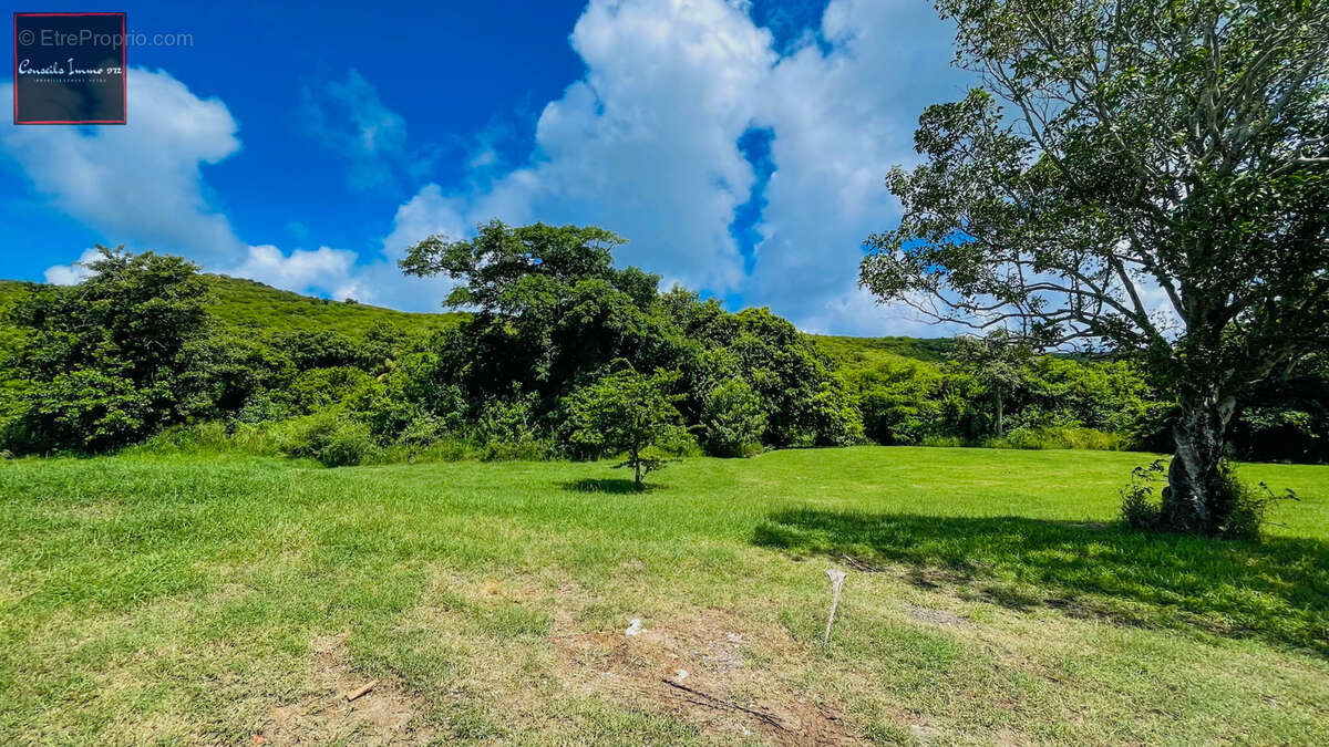 Terrain de 1 090 m2 à vendre - Sainte-Anne - photo 6